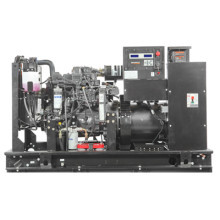 Газовый генератор GENERAC SG36/PG32 Газовый генератор GENERAC SG36/PG32