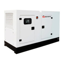 Генератор Вепрь АДС 60-Т400 РД49