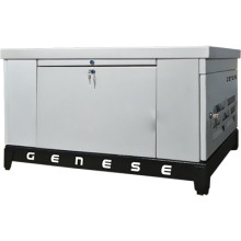 Газовый генератор Genese GE100 (в шумозащитном кожухе)