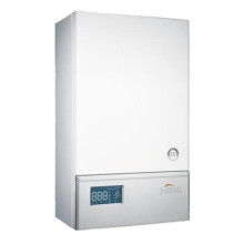 Электрический котел Ferroli LEB 12.0 (TS) (GCDO206A)