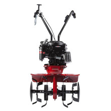 Мотокультиватор Eurosystems Z-3 RM B&S Series 625
