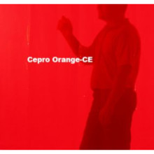 Сварочная шторка CEPRO Orange-CE 160х220 см