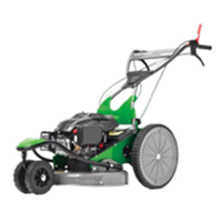 Трехколесные газонокосилки бензиновые самоходные Caiman