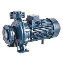 Консольно-моноблочный фланцевый насос PURITY PSTC 40-125/22 (N)
